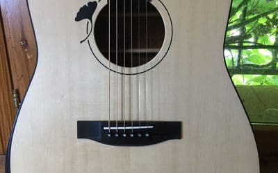 Guitarra acústica Dreadnought – Ginkgo Biloba